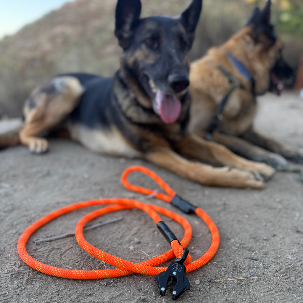 Venture Leash - Bryce Canyon Orange