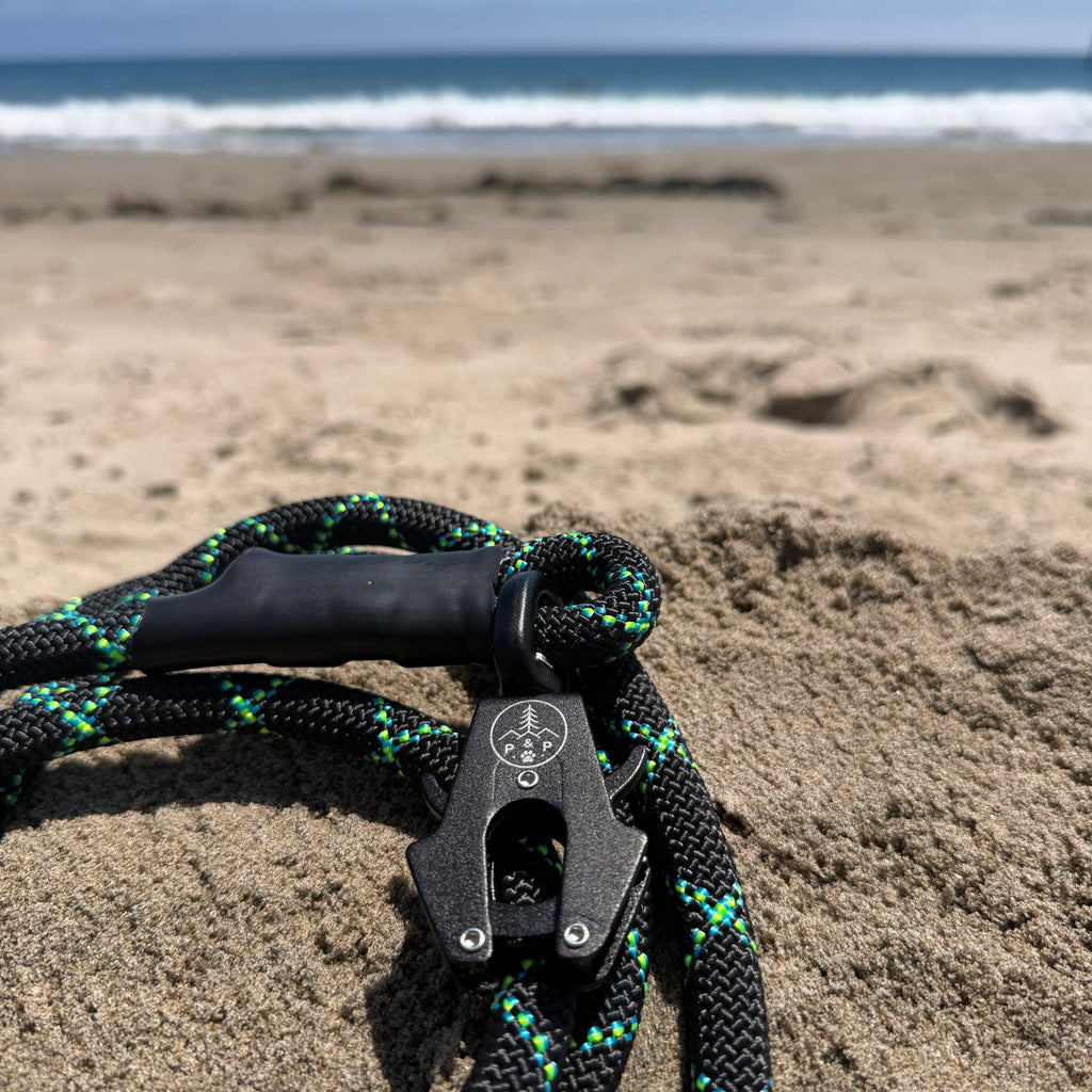 Venture Leash - Lava Beds Black