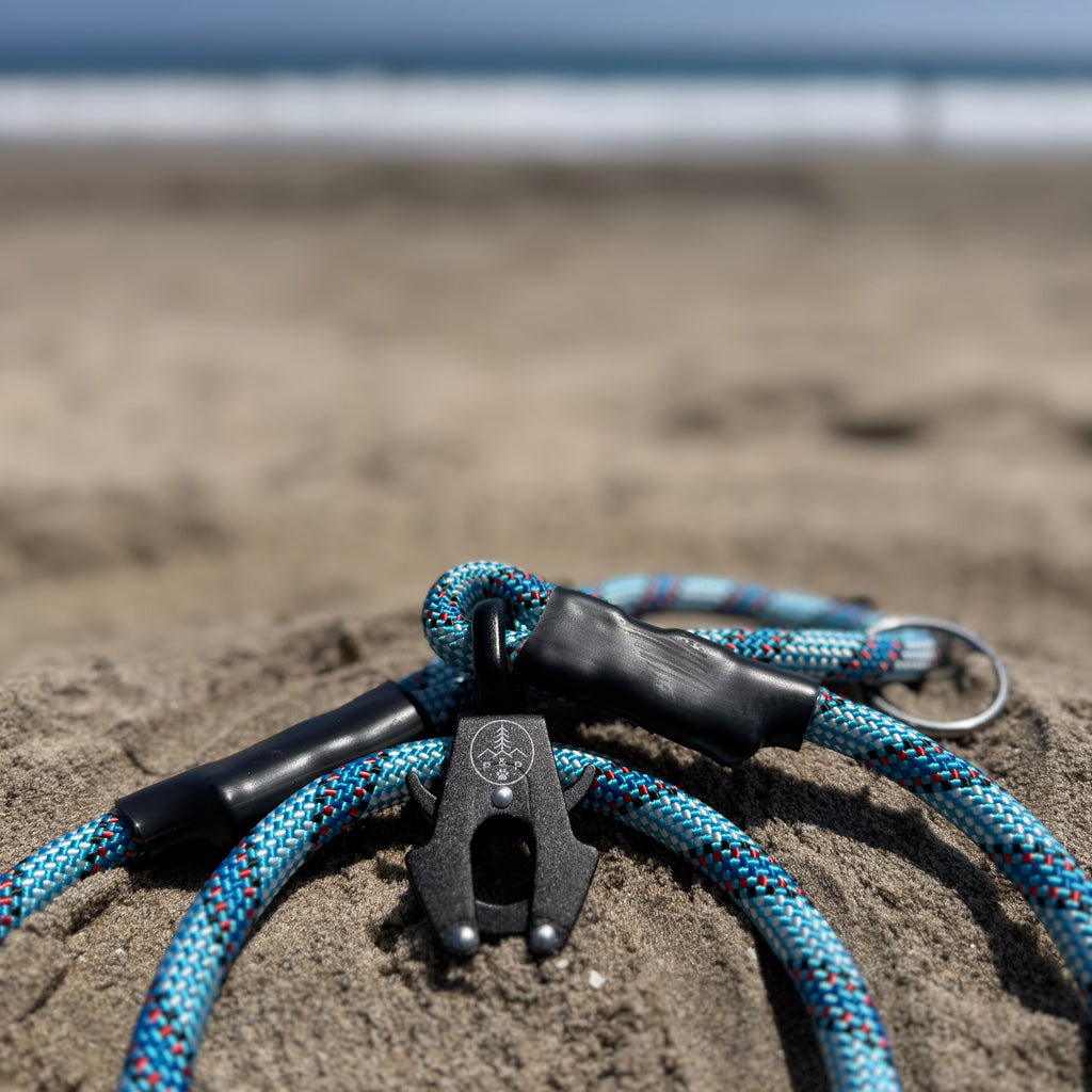 Venture Leash - Zephyr Cove Blue