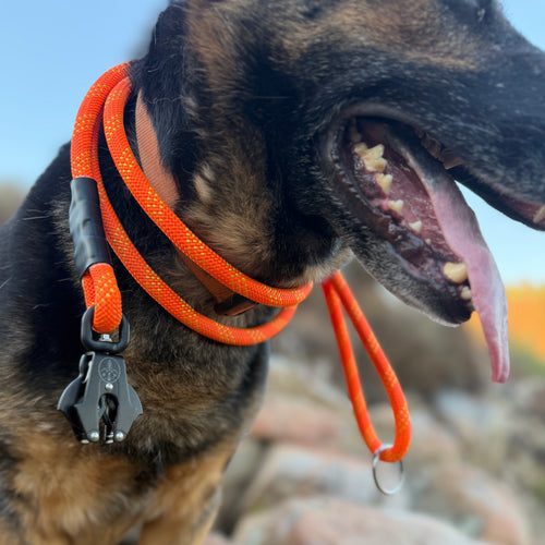 Venture Leash - Bryce Canyon Orange