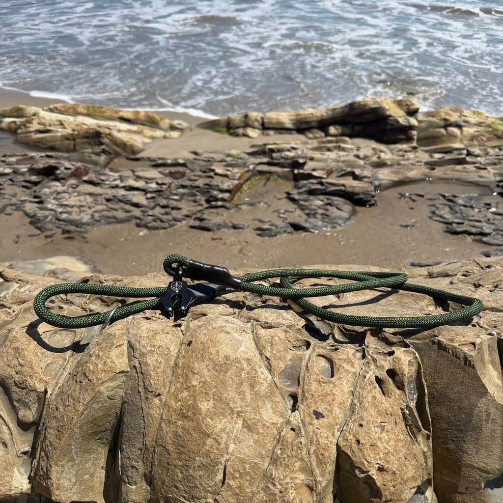 Venture Leash - Torrey Pine Green
