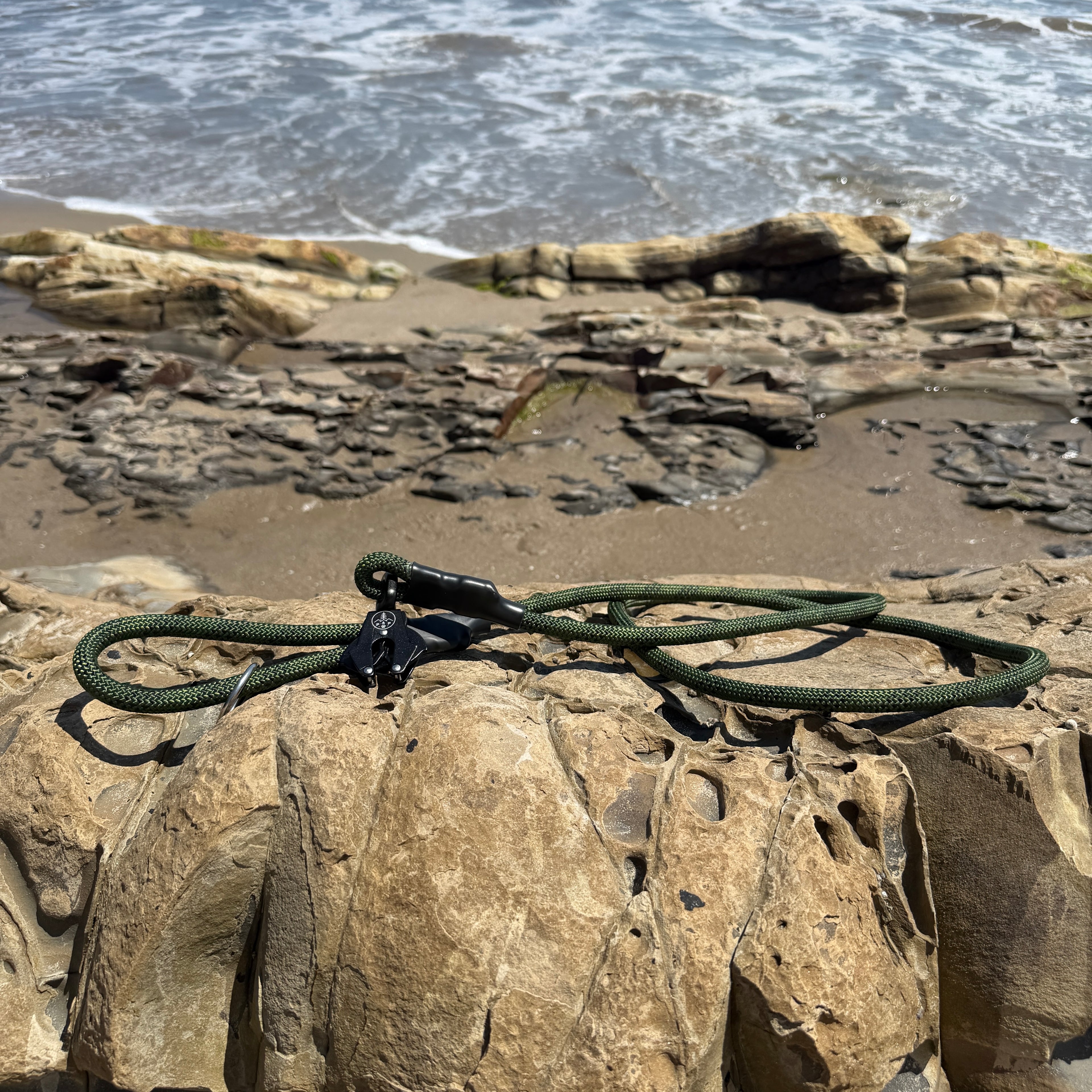 Venture Leash - Torrey Pine Green