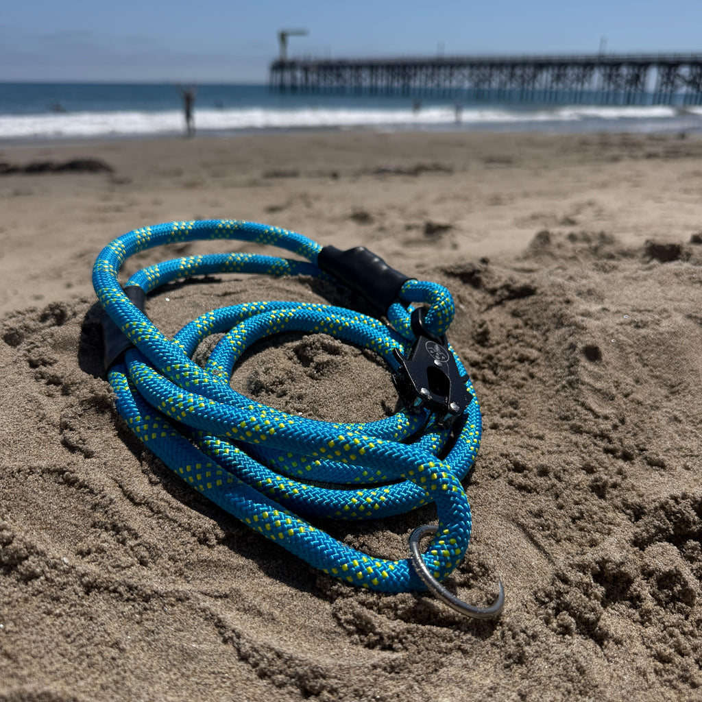 Venture Leash - Balandra Blue