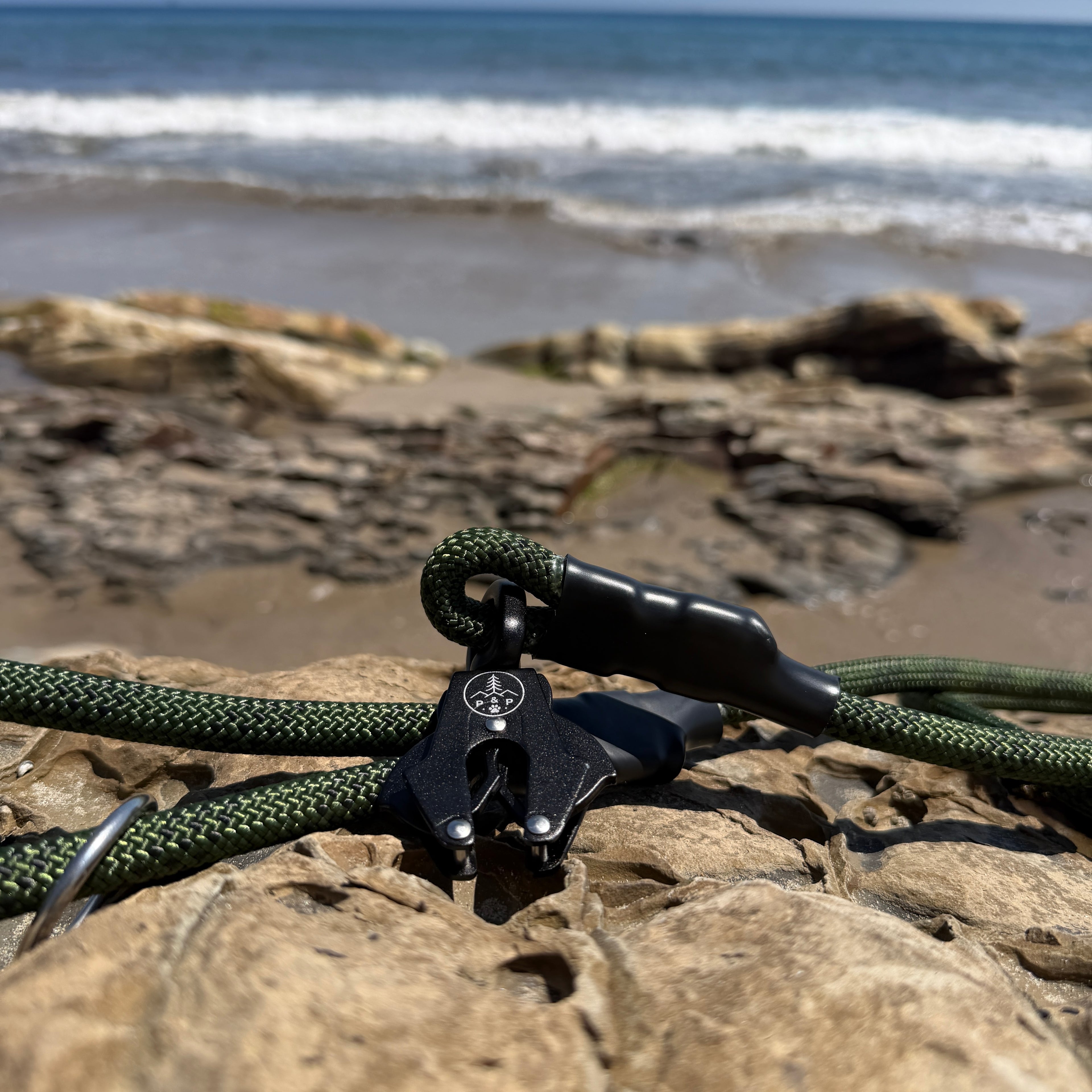 Venture Leash - Torrey Pine Green