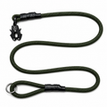 Venture Leash - Sequoia Green